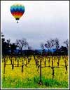 Napa Valley Tours