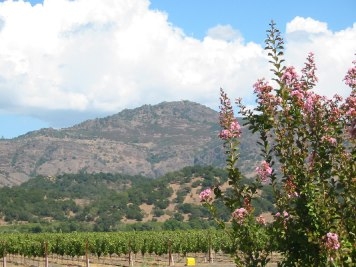 Yountville View - Sustainable Napa Valley
